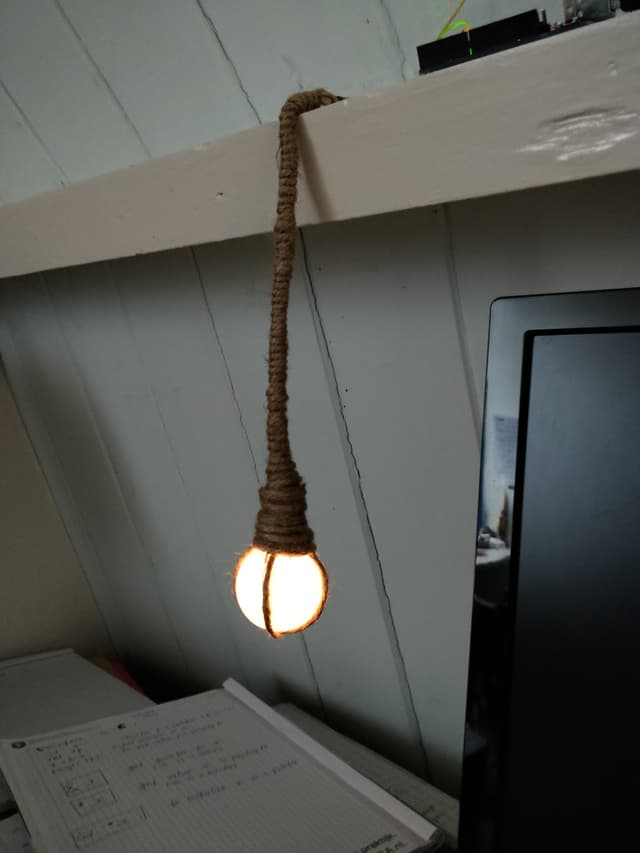 Physalis glow light in daylight